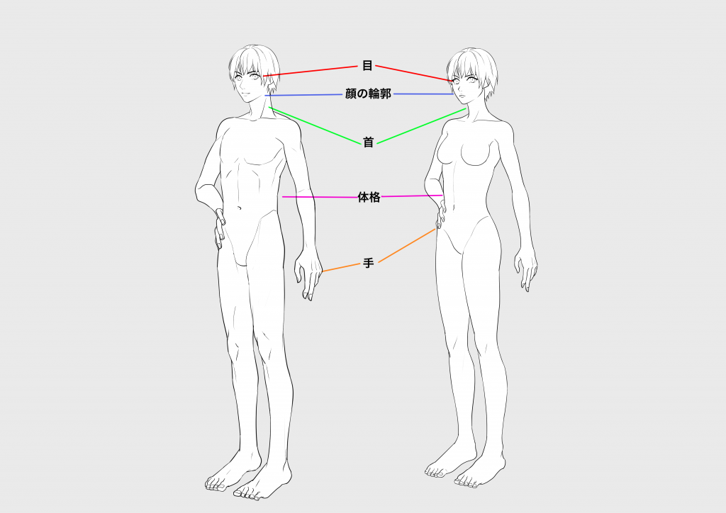 描き分け_全体図