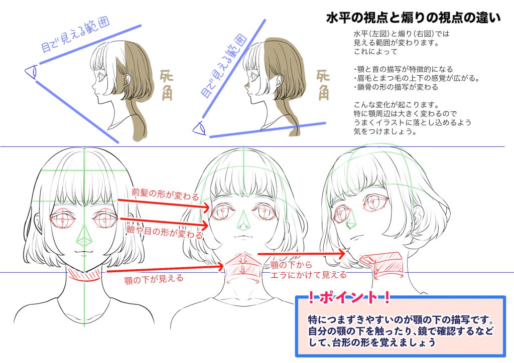 俯瞰と煽りのキャラクターの描き方 頭部編 ブログ グランドデザイン