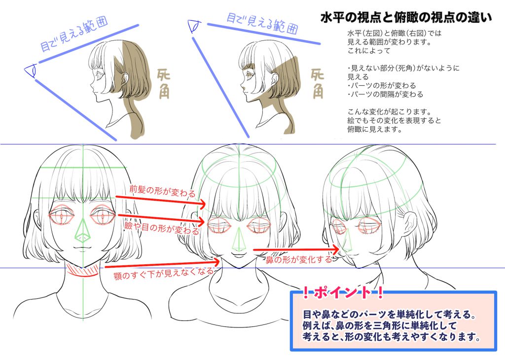 俯瞰と煽りのキャラクターの描き方 頭部編 ブログ グランドデザイン