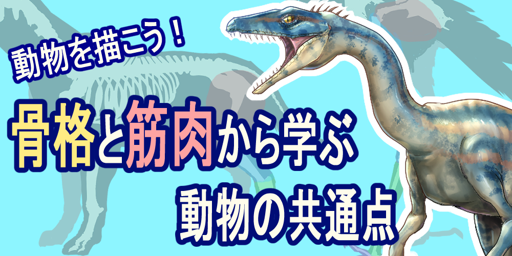 動物を描こう 骨格や筋肉から学ぶ動物の共通点 ブログ グランドデザイン