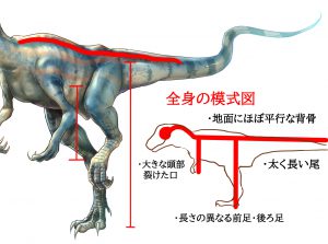 恐竜模式図