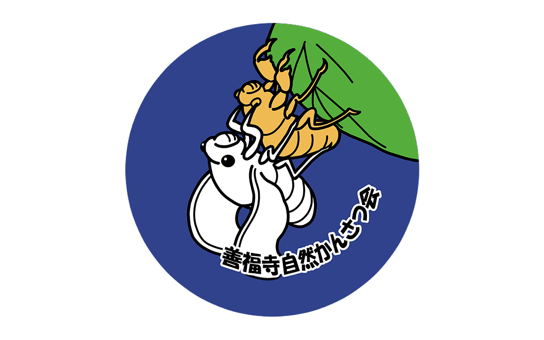 缶バッチイラスト制作