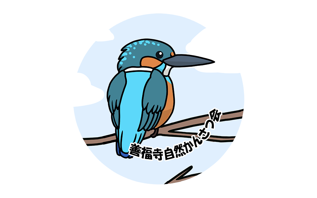 缶バッチイラスト制作